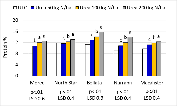 Figure 3. Grain protein responses to nitrogen rate by trial site