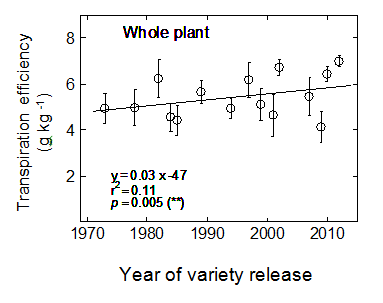 Figure 3. Change in transpiration efficiency for whole-plant dry biomass for varieties released between 1973 and 2012. 