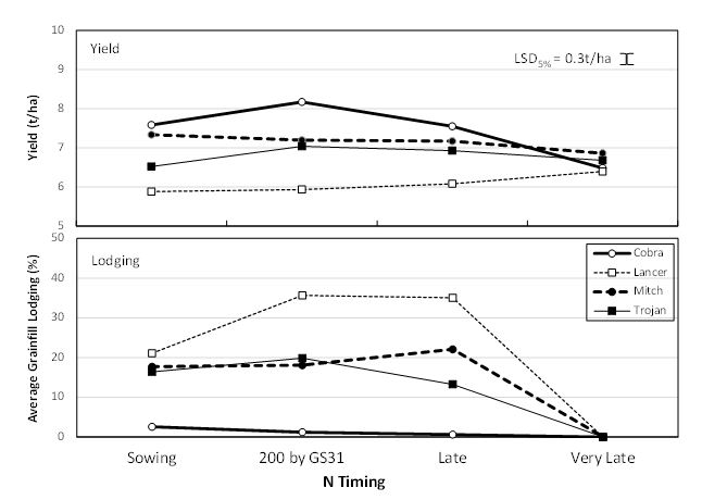 Figure 3. Effect of N strategy on yield and lodging of long season varieties at Gatton, 2015