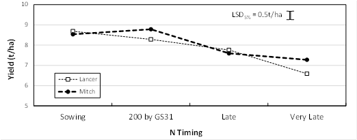 Figure 4. Effect of N strategy on yield of long season varieties at Spring Ridge, 2015