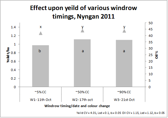 Bar chart showing effect on canola yield for windrow treatment.