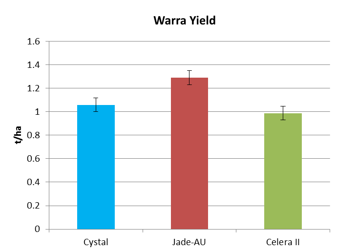 Figure 2. Variety grain yield for all row spacings at Warra (LSD 5% 119.2) and Dalby 13/14 (LSD 5% 101.2)