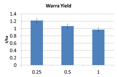 Figure 3. Warra row spacing yields for all varieties 2013/14 (LSD 5% 258.2)