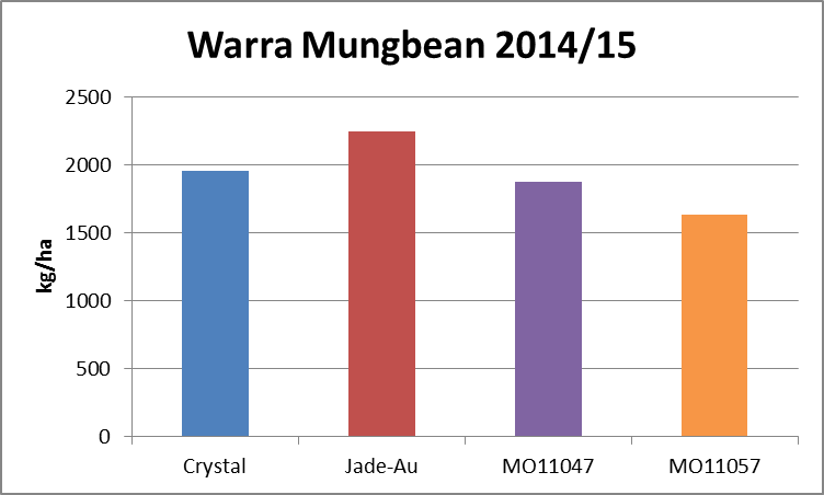 Figure 6. Warra 2014/15 mungbean variety yields, all row spacings (LSD 5% 562)