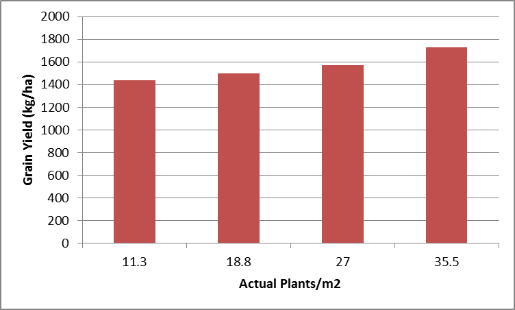Figure 8. Warra 2014/15 plant population yields (LSD 5% 318)