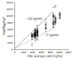 Figure 1. Example of a performance graph representing the yield of different hybrids across a number of sites having different yield potential.