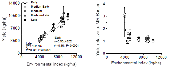 Figure 2. Sorghum yields as a function of the environmental index grouped by maturity type (left panel), and treatments yield relative to the yield of MR Buster (hybrid check) (right panel).