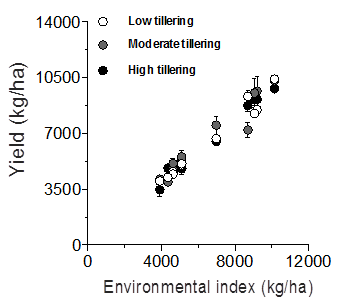 Figure 4. Sorghum yields as a function of the environmental index grouped by tillering type.