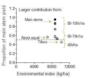 Figure 5. Sorghum yields as a function of the environmental index grouped by plant density relative to the yield of the hybrid check (MR Buster).