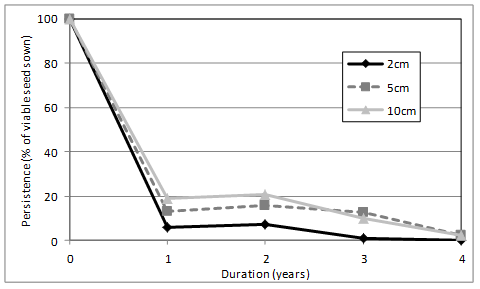 Figure 3. Persistence of flaxleaf fleabane buried at different depths and for different times (years).