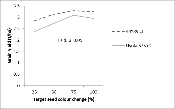 Figure 3. Grain yield of two canola varieties as affected by windrow timing at four target seed colour change timings at Trangie in 2015.