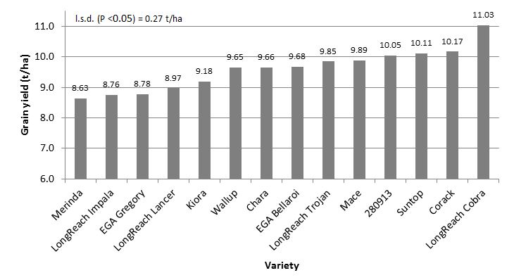Bar graph showing grain yield for various grain types