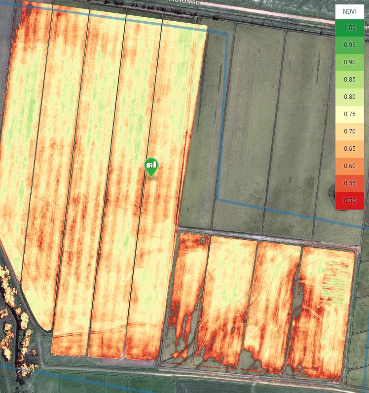 Heatmap image showing variable crop maturity and effects of old contour layouts