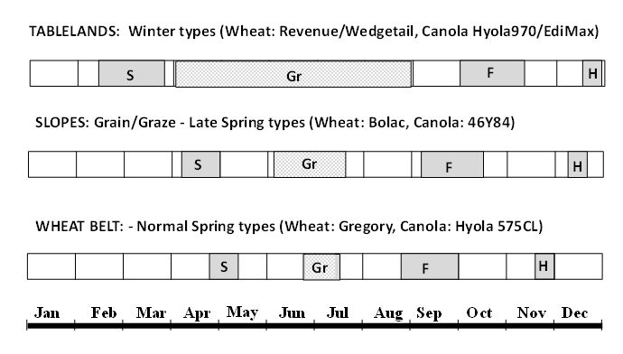 info graph showing timeline of sow, graze, flowering and harvest operations over time.
