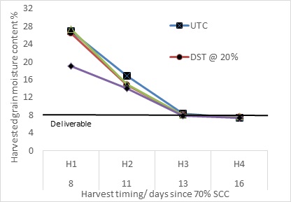 Figure 4. Harvested grain moisture content at four harvest timings in response to various desiccation treatments- Wellington 2015