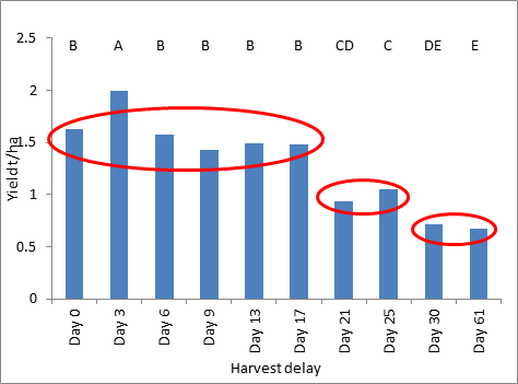 Figure 5. Harvested grain yields in response to delays in direct heading- Wellington 2013