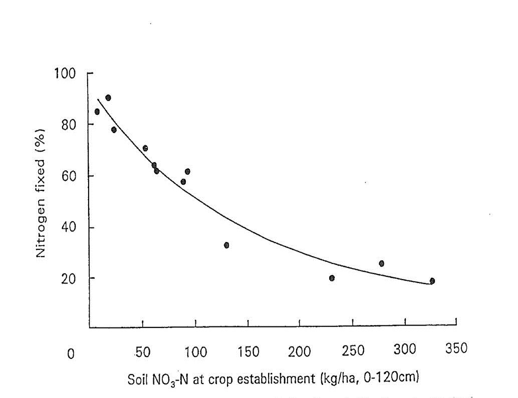 Figure 1. Per cent nitrogen fixed in chickpea (cv. Reselected Tyson) tops 130 days after planting for various levels of soil NO3-N at crop establishment.  For fitted curve, Y = 7.05+88.45e-0.0070X, R2 = 0.95 (from Doughton et al. 1993).