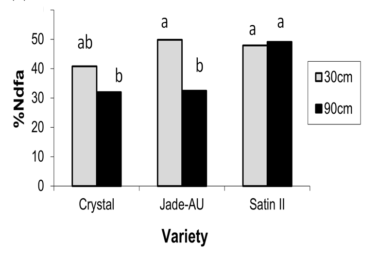 Figure 3. %Ndfa of different varieties at 2 row spacings, Kingaroy 2012/13 (LSD 5% = 9.28).