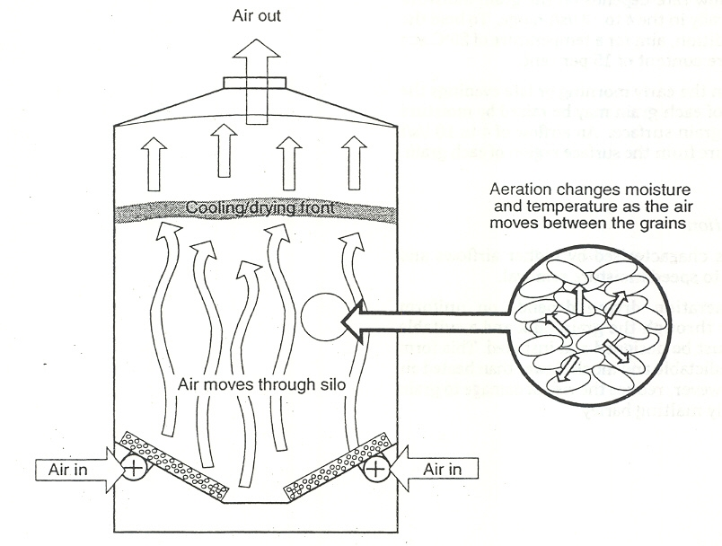 Figure 3. Cooling / drying fronts in the aeration process (C. Newman Agric. WA)