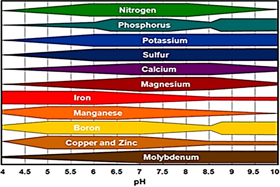 Figure 1: Availability of nutrients within the soil with changing pH.