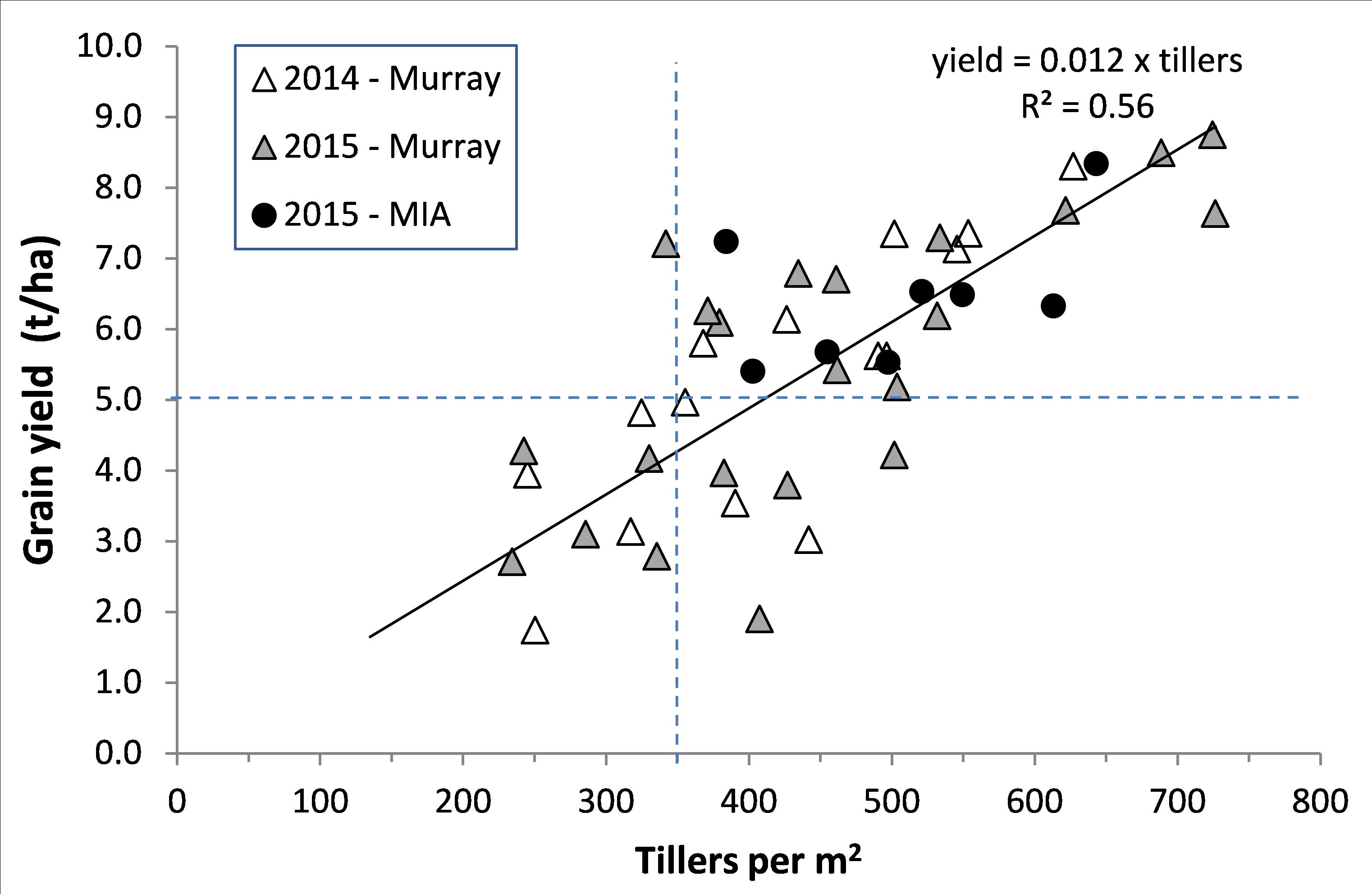 Scatter plot of grain yield on tillers required to achieve a specific yield
