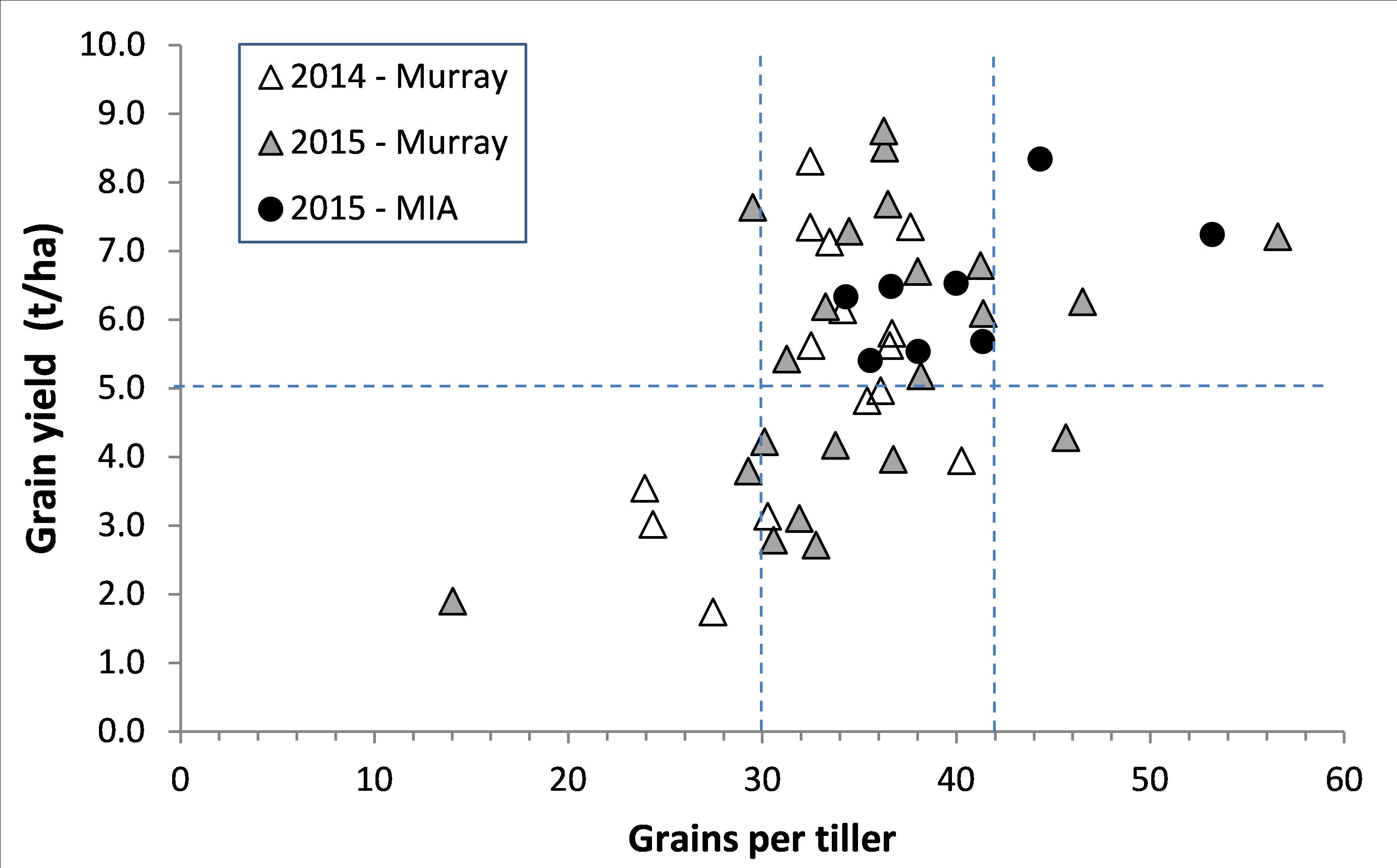 Scatter plot showing grain yield on grains per tiller.