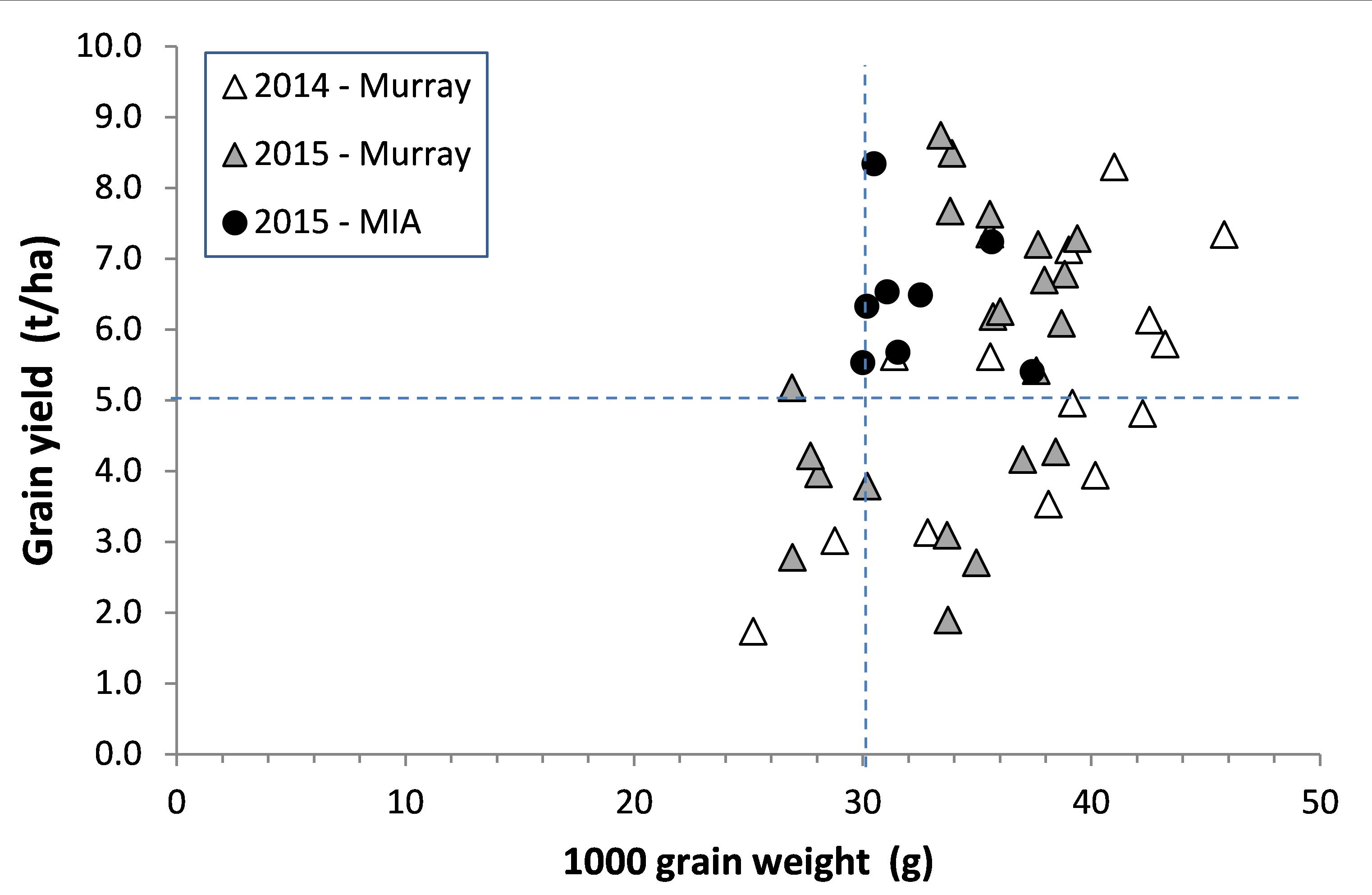 Scatter plot of grain yield on 1000 grain weight