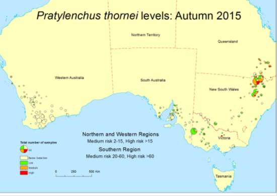Heat map of Australia showing Pratylenchus thornei levels