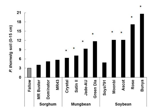 Bar chart showing Pratylenchus thornei population