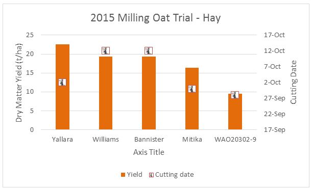 Figure 3: Milling oat variety yields at Kerang trial site. 