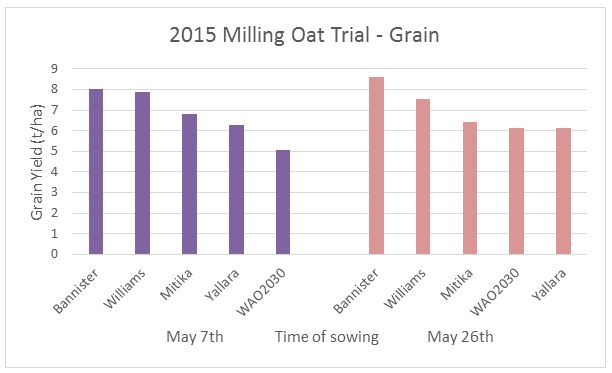 Figure 4: Milling oat variety yields at Kerang trial site for two time of sowings. LSD between varieties is 0.51t/ha and time of sowing (TOS) is 0.32t/ha. 