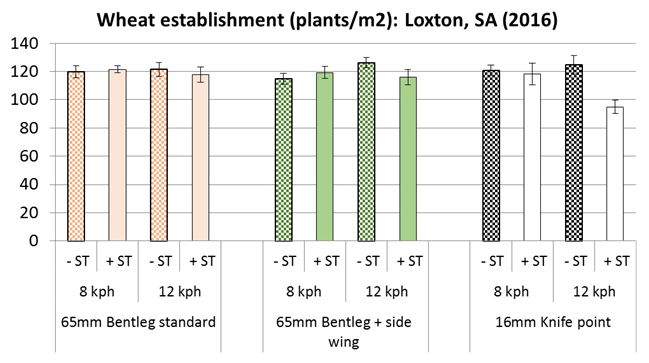Figure 10: Grenade CL Plus wheat emergence results in mallee context for two bentleg seeding systems at two speeds relative to a common knife point control (Results shown for two types of seed row: + and – soil throw). All openers had a common operating depth set at 90mm. No pre-emergence herbicides used. 