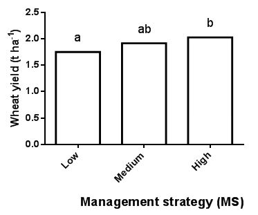 Figure 3: Wheat yield for low (MS1), medium (MS2) and high intensity management strategies (MS3) at Frances in 2015. Because herbicide effect on wheat yield was non-significant data were combined over herbicide treatment and presented as the mean of management strategy. Different letters indicate significant differences between means.