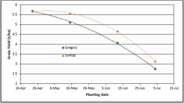 Figure 4: Yield of two different varieties of wheat at four different sowing times, Narrabri 2014. (Source: Redrawn from Graham et al 2015)