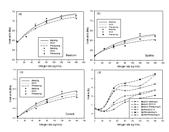 Figure 5. Grain yield response of BeckomA (a), SpitfireA (b) and CorackA (c) to increasing N rates applied by either; (i) ’banding’ urea at sowing between every second crop row, (ii) spreading urea in front of the seeder ’pre-sowing’ or (iii) surface spreading urea at ’DC31’ growth stage