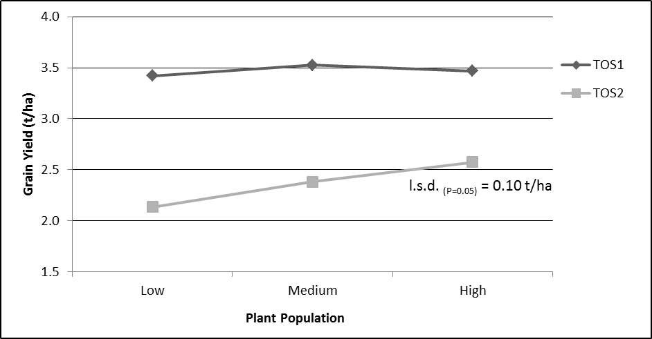 Figure 1. Yield response of wheat to plant population and time of sowing - Trangie across site analysis