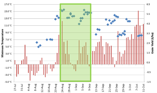Figure 5. Minimum temperatures (red bars) and grain yield x anthesis date (blue diamonds) for individual plots for bottom slope at Gurley in 2015. Green box indicates the retrospective optimum flowering date at site