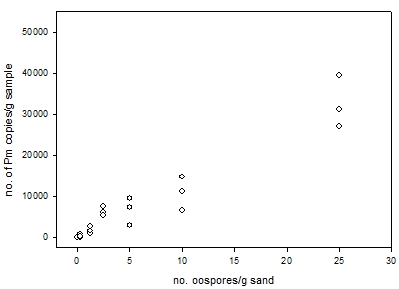 Figure 1. Plot of three replicate sample of Pm oospore-mycelium in sand at a range of concentrations against the yield of Pm copies/g of sample.