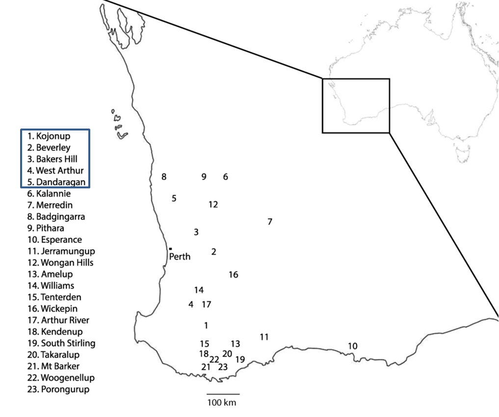 Figure 2. Map of Western Australia showing geographic origin of net type net blotch isolates. Leaf samples were collected from 23 separate locations in Western Australia from a combination of fieldtrips and bait trials. Locations 1, 2 and 14 were specially designed bait trials. Resistant strains were isolated from samples taken in locations 1–5.