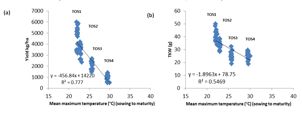 Figure 3. Relationships between mean maximum temperature °C and (a) yield kg/ha and (b) TKW (g) for 20 common genotypes, 2014 data presented only.