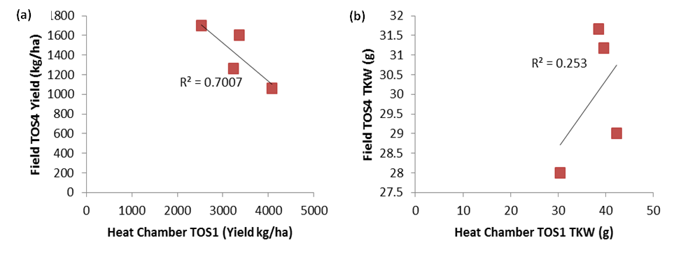  Figure 4. Relationships between field late sowing and heat chambers placed at anthesis in early sowing in the field for (a) yield and (b) thousand kernel weight (TKW) over three years. Data of four varieties tested in all years is presented.