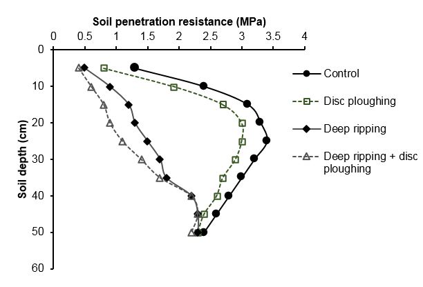 Line chart of soil depth 