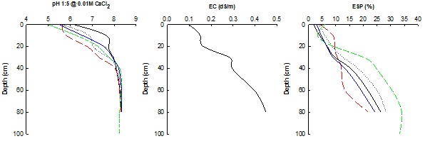 Figure 1. Selected soil characteristics of sodic site in Rand (southern NSW). 