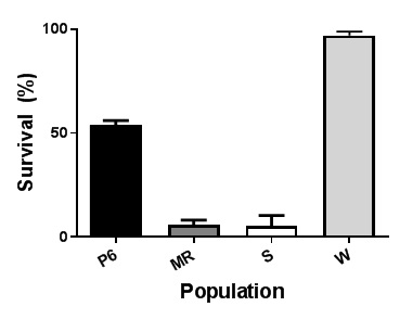 Graph showing survival (%) ± SE (n = 2) in pot cultured plants assessed 15 days after 100 g pyroxasulfone per ha