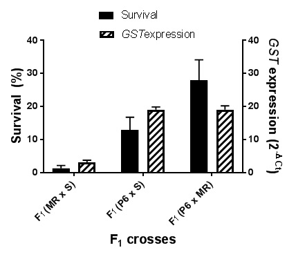 Graph showing correlation between survival to pyroxasulfone in the F1 progeny and GST expression in parent ryegrass plants