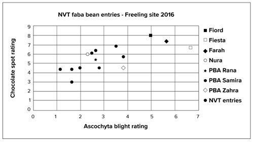 Scatter plot graph showing Ascochyta blight scores plotted against chocolate spot scores from Freeling in 2016 for current commercial faba bean varieties and nine NVT faba bean entries