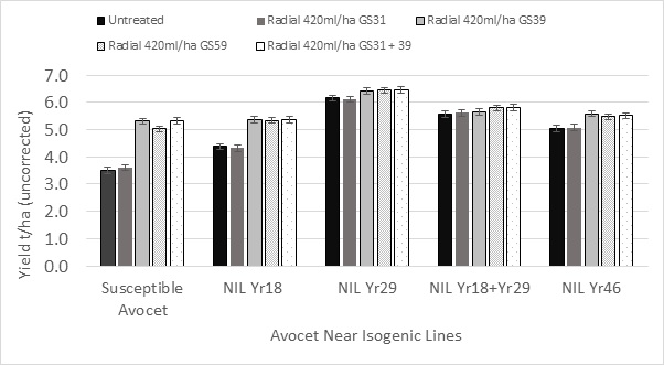 Figure 6. Influence of different APR genes Yr18, Yr29 & Yr46 in a common Avocet background on fungicide response from different application timings.