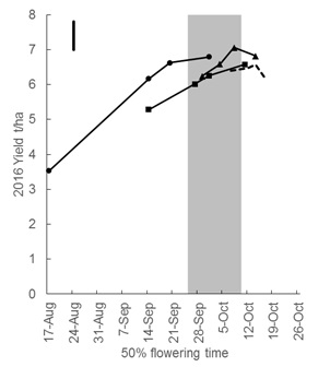 Figure 2. The yield and flowering dates of four cultivars sown on four times of sowing (14 April, 26 April, 6 May, and 15 May) in the 2016 growing season