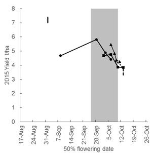 Figure 3. The yield and flowering dates of four cultivars sown on four times of sowing (17 April, 27 April, 7 May, and 15 May) in the 2015 growing season