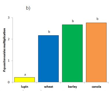 Histogram of four crop types 